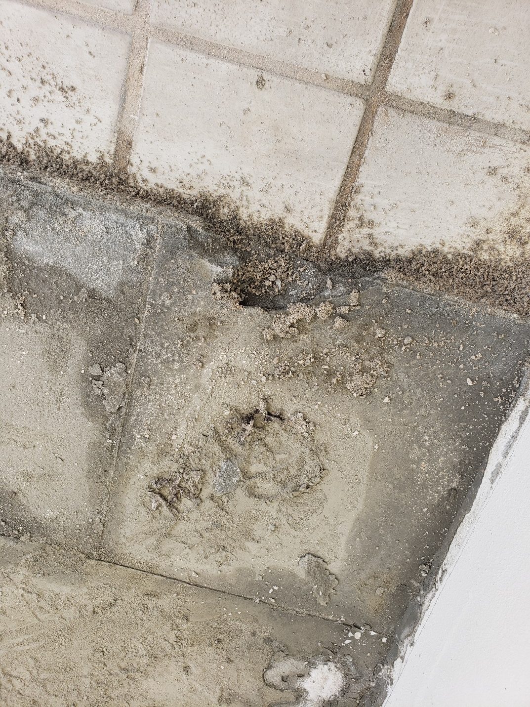 Lifted paver revealing damp rust-stained sand underneath
